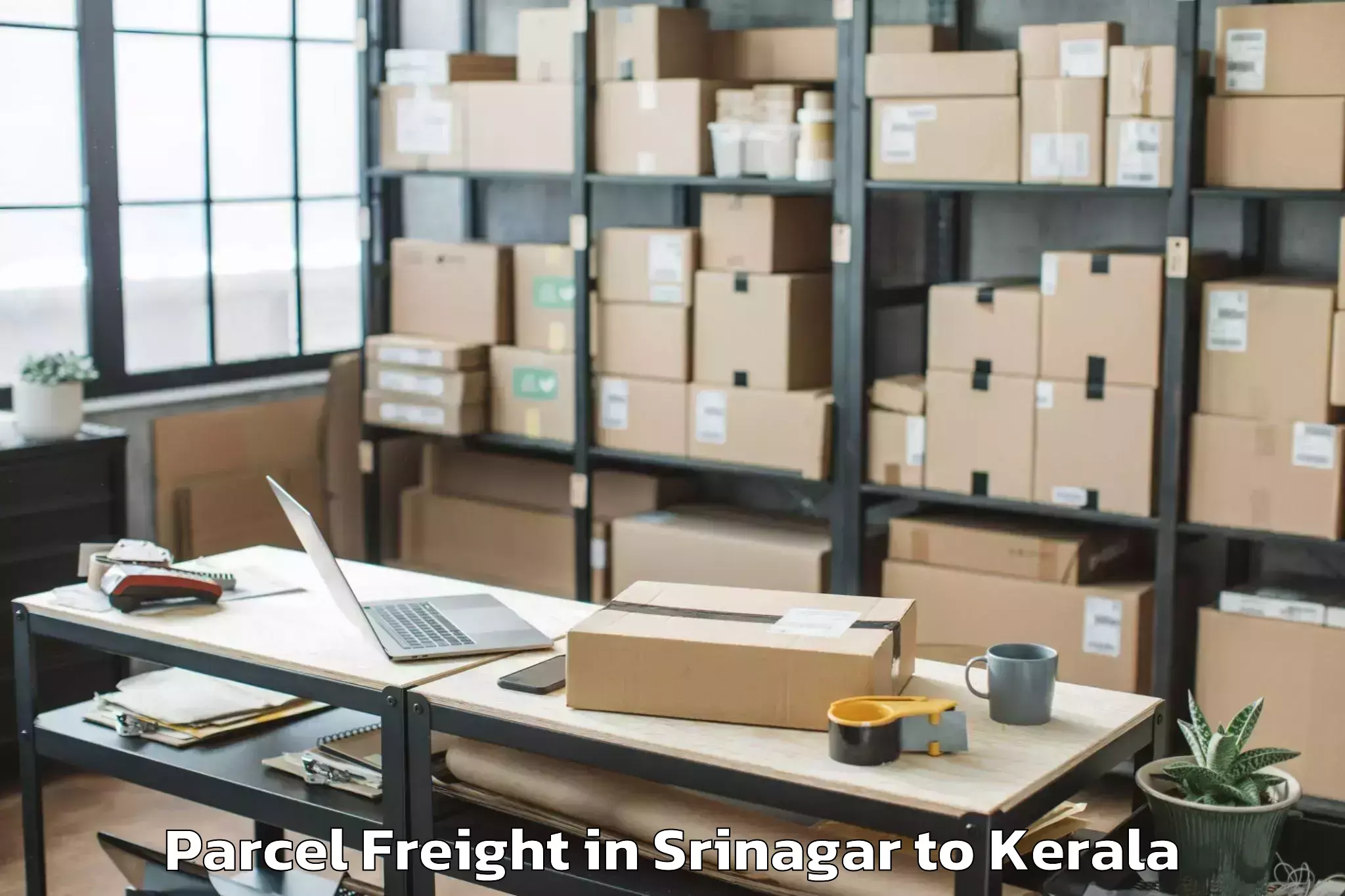 Book Your Srinagar to Vayalar Parcel Freight Today